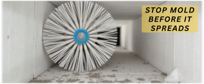 Air Duct Mold Removal in Chicago