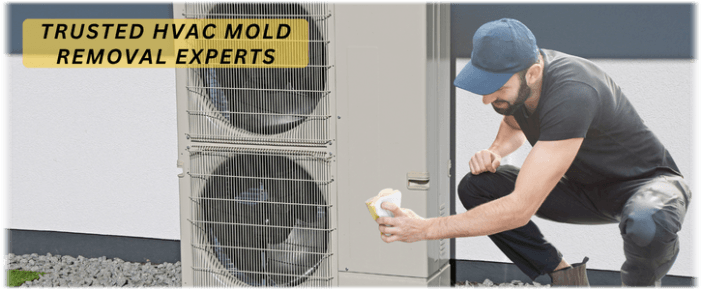 HVAC Mold Removal Chicago